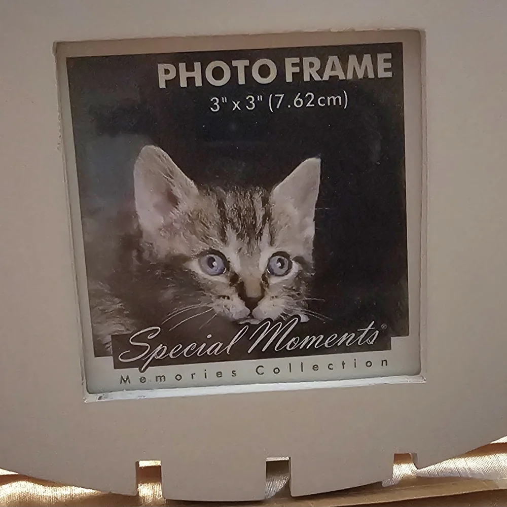 Fish-Shaped Photo Frame